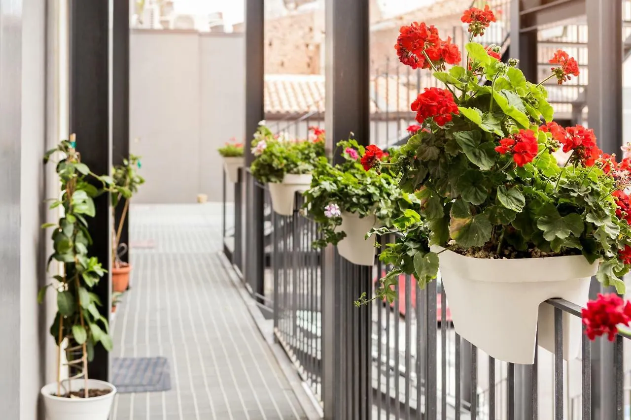Scuto Home Catania