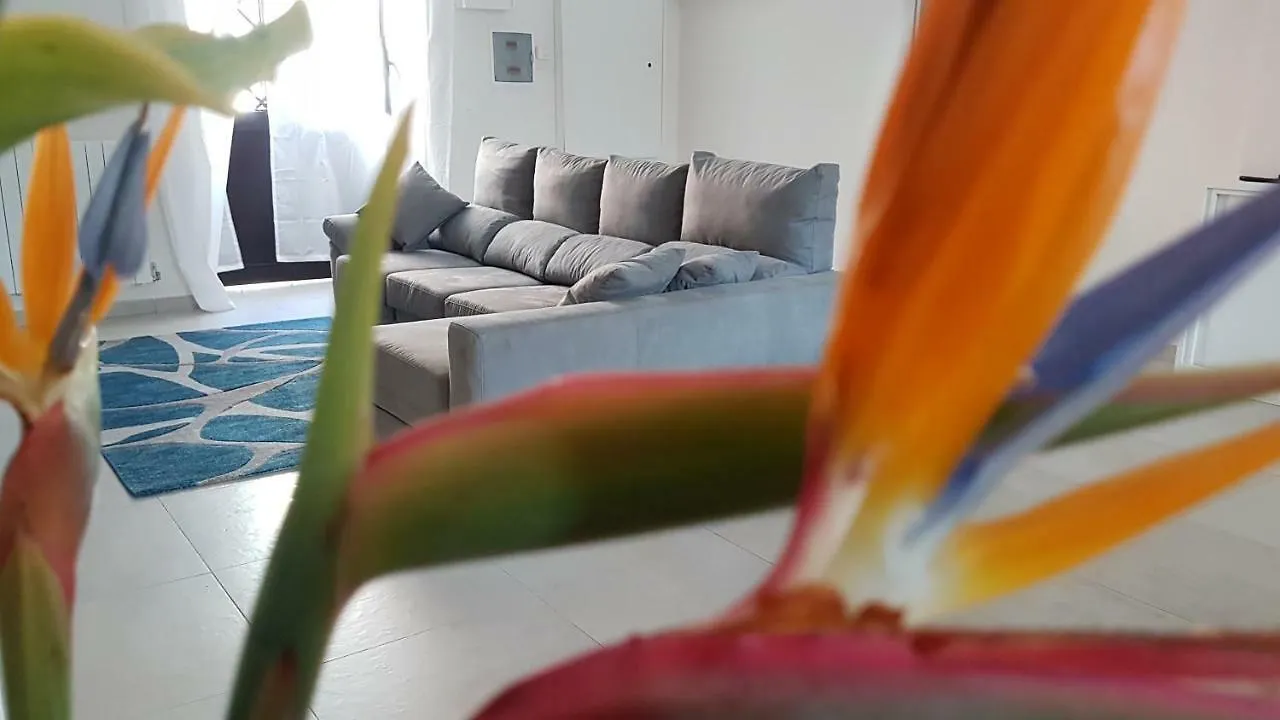 招待所 Scuto Home 卡塔尼亚
